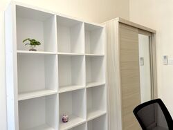 Central Green Condominium (D3), Condominium #421619221